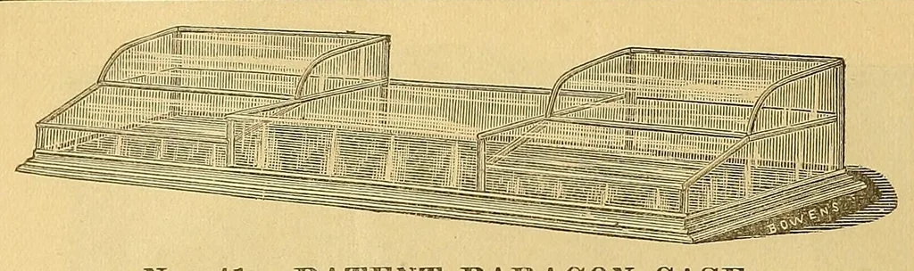 An illustration from NEW ILLUSTRATED CATALOGUE, 1887, leaf 20