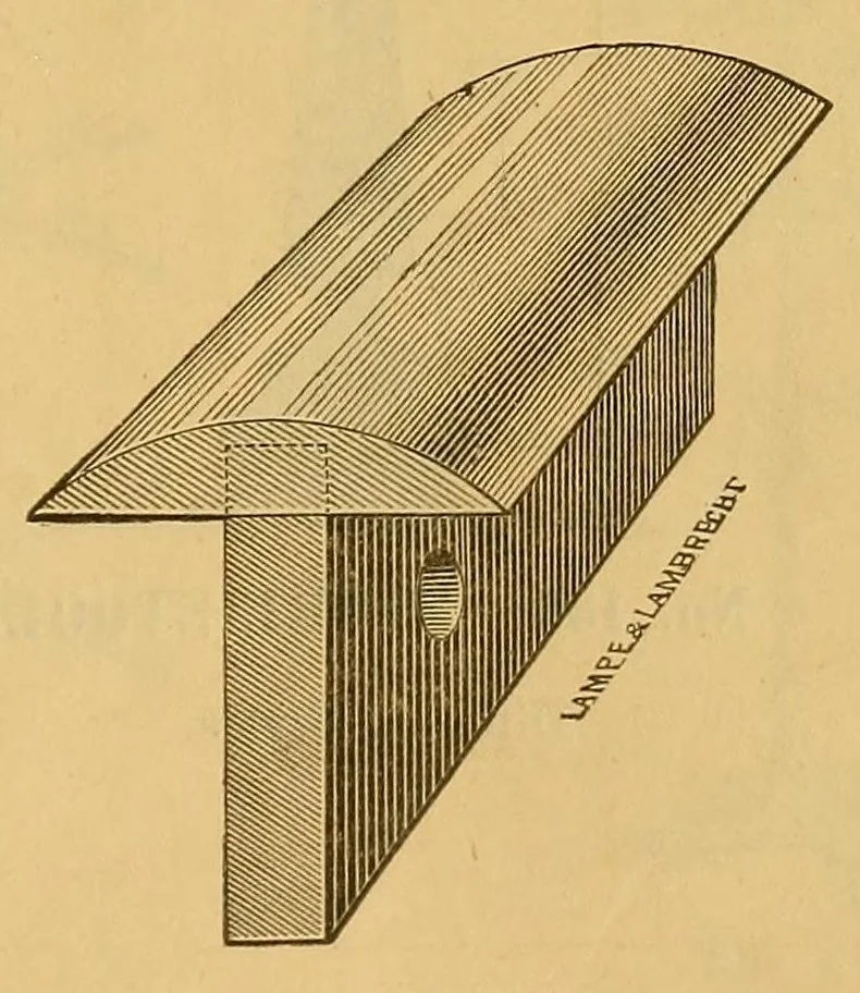 An illustration from NEW ILLUSTRATED CATALOGUE, 1887, leaf 77