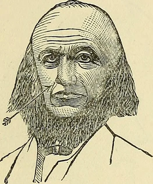 An illustration from A new illustrated hand-book of phrenology, physiology and physiognomy, 1878, leaf 118
