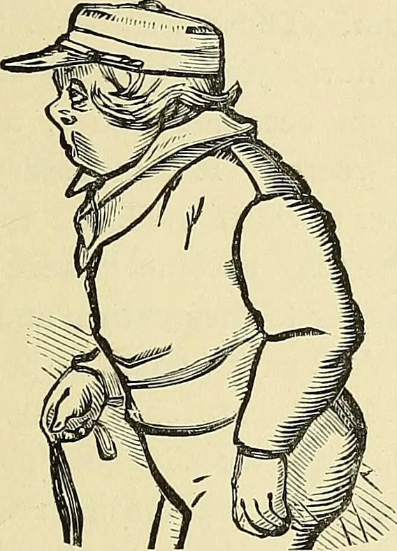 An illustration from A new illustrated hand-book of phrenology, physiology and physiognomy, 1878, leaf 132