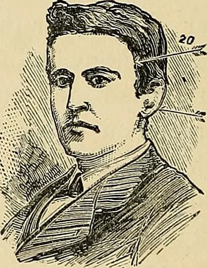 An illustration from A new illustrated hand-book of phrenology, physiology and physiognomy, 1878, leaf 147