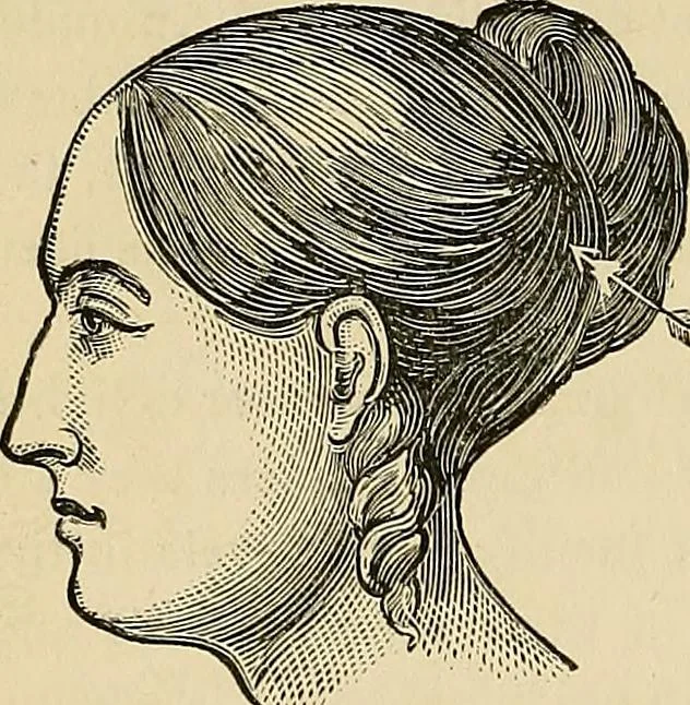 An illustration from A new illustrated hand-book of phrenology, physiology and physiognomy, 1878, leaf 155