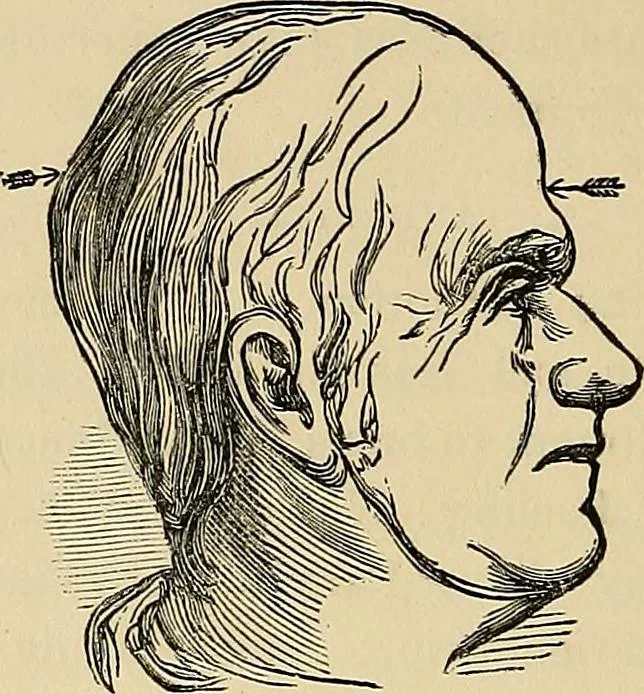 An illustration from A new illustrated hand-book of phrenology, physiology and physiognomy, 1878, leaf 163
