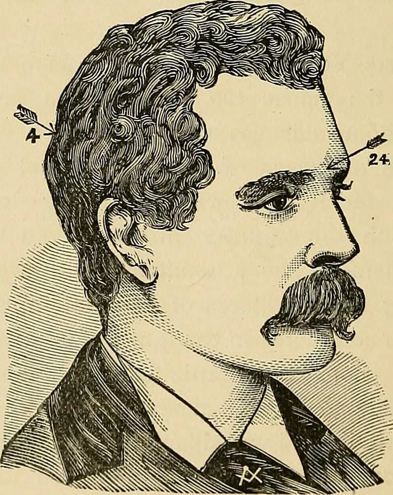 An illustration from A new illustrated hand-book of phrenology, physiology and physiognomy, 1878, leaf 163