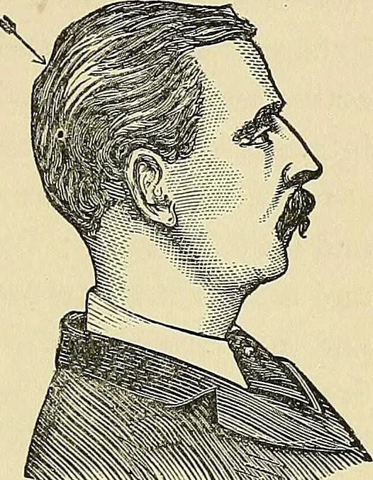 An illustration from A new illustrated hand-book of phrenology, physiology and physiognomy, 1878, leaf 166