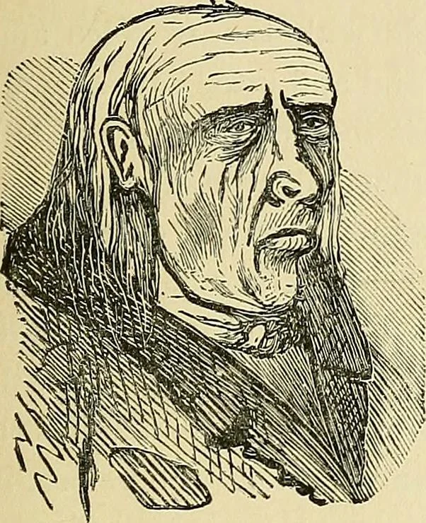An illustration from A new illustrated hand-book of phrenology, physiology and physiognomy, 1878, leaf 168