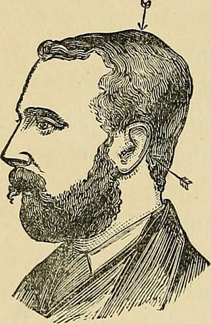 An illustration from A new illustrated hand-book of phrenology, physiology and physiognomy, 1878, leaf 171