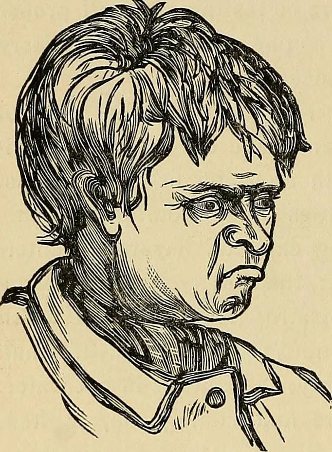 An illustration from A new illustrated hand-book of phrenology, physiology and physiognomy, 1878, leaf 175
