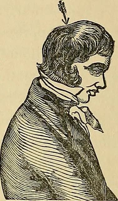 An illustration from A new illustrated hand-book of phrenology, physiology and physiognomy, 1878, leaf 203