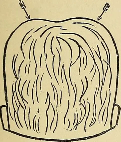 An illustration from A new illustrated hand-book of phrenology, physiology and physiognomy, 1878, leaf 212