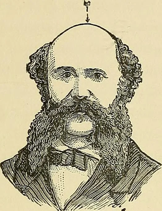 An illustration from A new illustrated hand-book of phrenology, physiology and physiognomy, 1878, leaf 224