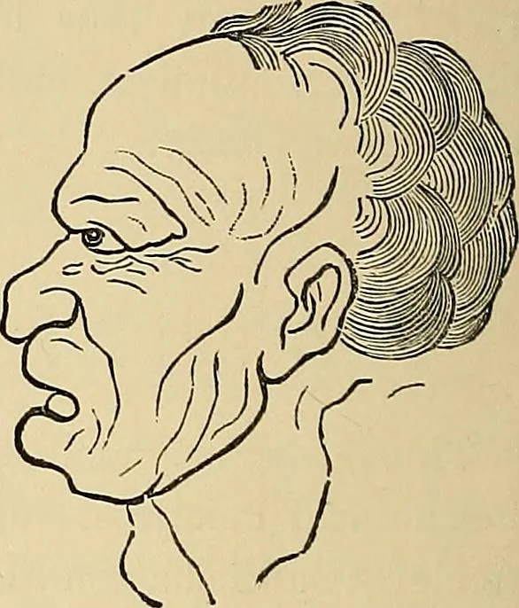 An illustration from A new illustrated hand-book of phrenology, physiology and physiognomy, 1878, leaf 227