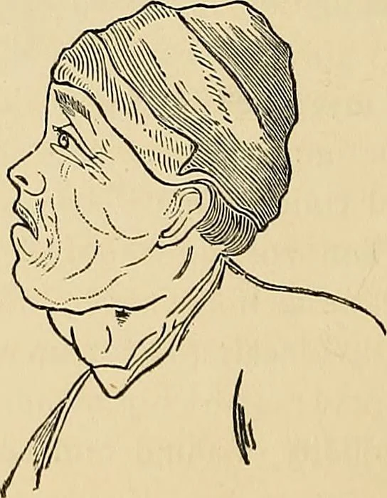 An illustration from A new illustrated hand-book of phrenology, physiology and physiognomy, 1878, leaf 231
