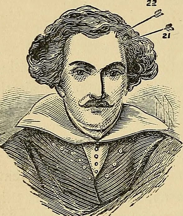 An illustration from A new illustrated hand-book of phrenology, physiology and physiognomy, 1878, leaf 237