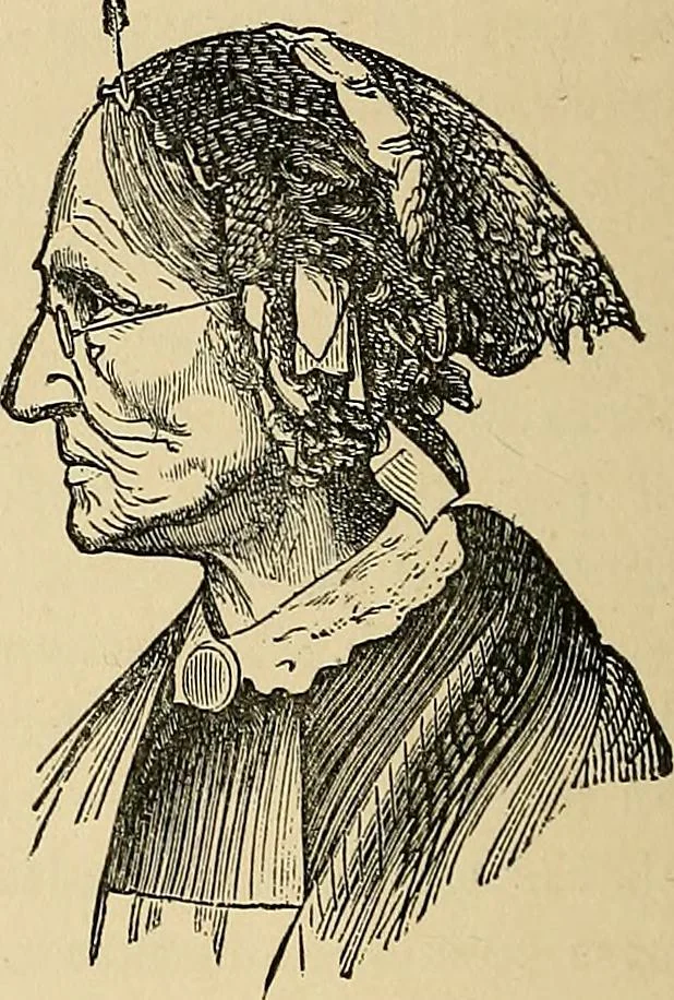 An illustration from A new illustrated hand-book of phrenology, physiology and physiognomy, 1878, leaf 237