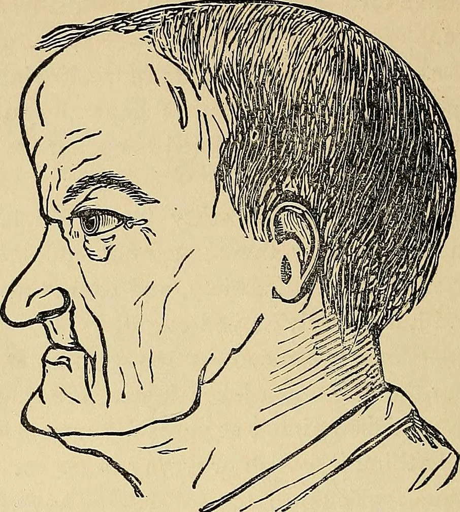 An illustration from A new illustrated hand-book of phrenology, physiology and physiognomy, 1878, leaf 241