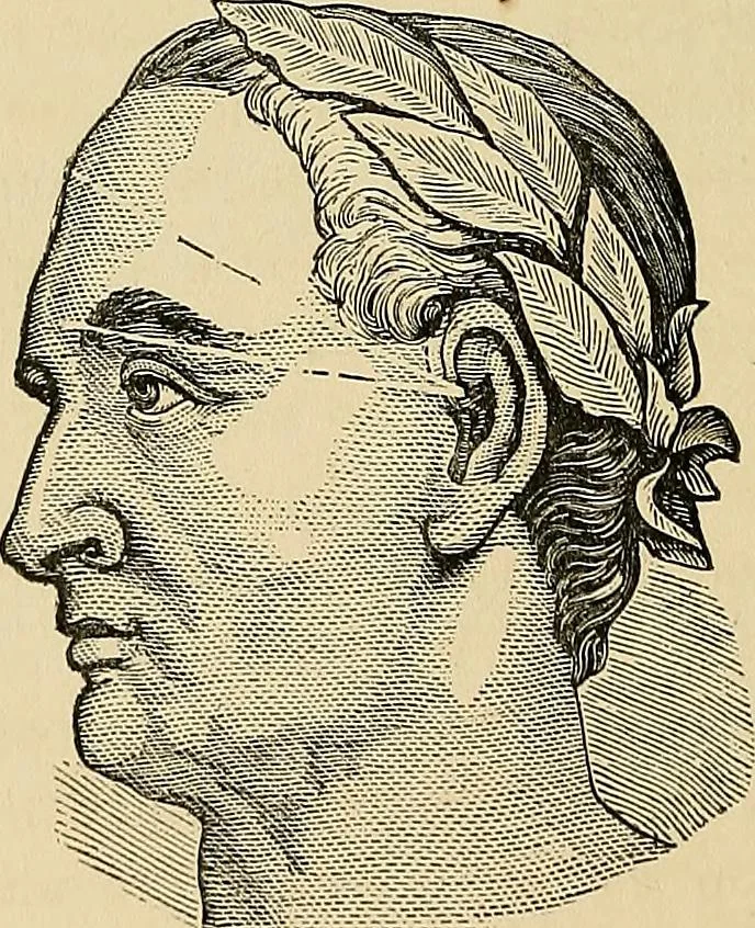 An illustration from A new illustrated hand-book of phrenology, physiology and physiognomy, 1878, leaf 241