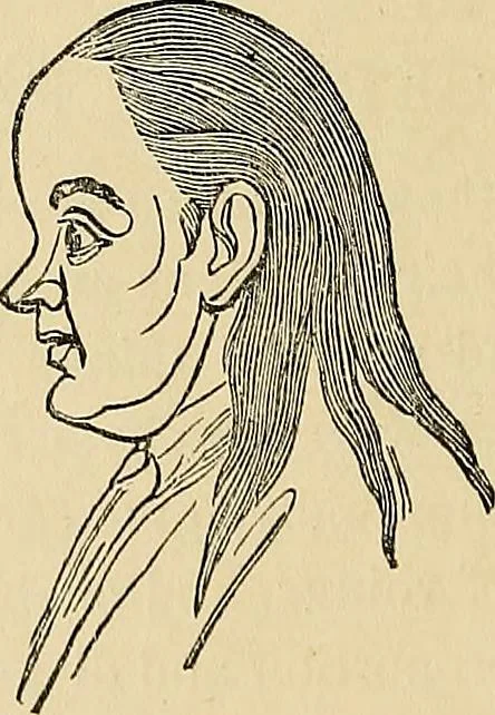 An illustration from A new illustrated hand-book of phrenology, physiology and physiognomy, 1878, leaf 247
