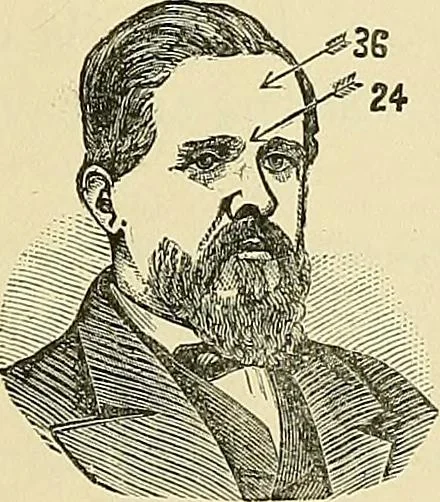 An illustration from A new illustrated hand-book of phrenology, physiology and physiognomy, 1878, leaf 250