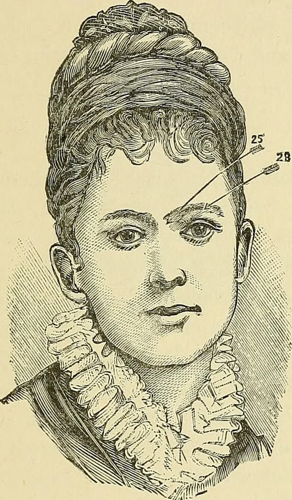 An illustration from A new illustrated hand-book of phrenology, physiology and physiognomy, 1878, leaf 260