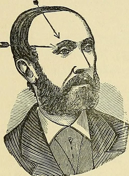 An illustration from A new illustrated hand-book of phrenology, physiology and physiognomy, 1878, leaf 262