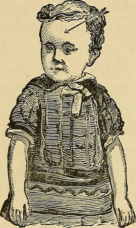 An illustration from A new illustrated hand-book of phrenology, physiology and physiognomy, 1878, leaf 271