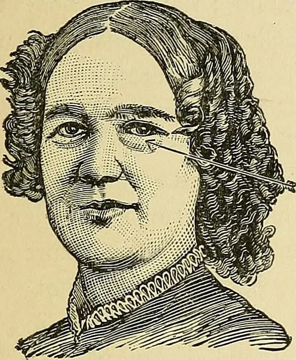 An illustration from A new illustrated hand-book of phrenology, physiology and physiognomy, 1878, leaf 278
