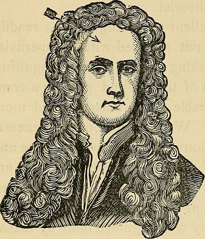 An illustration from A new illustrated hand-book of phrenology, physiology and physiognomy, 1878, leaf 283