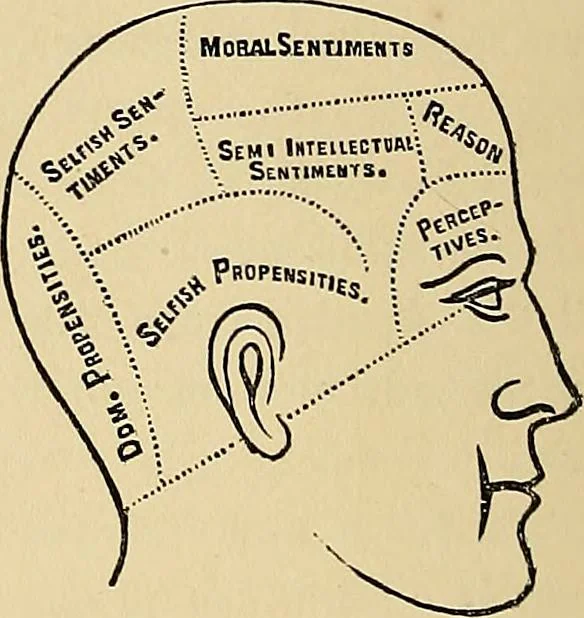 An illustration from A new illustrated hand-book of phrenology, physiology and physiognomy, 1878, leaf 51