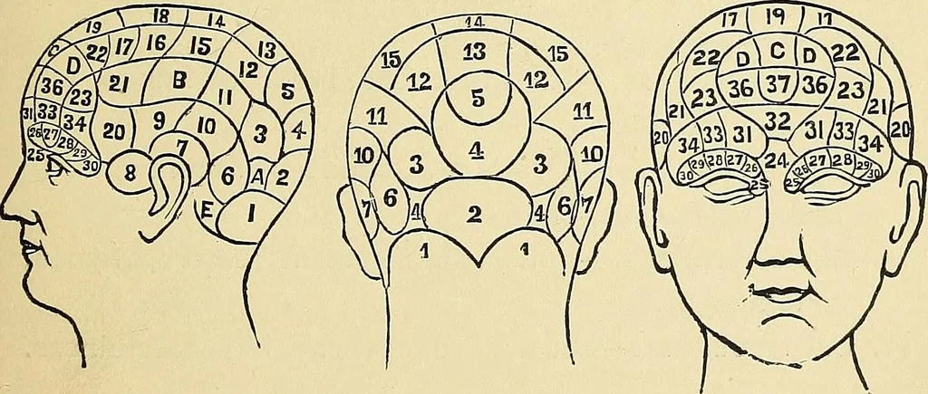 An illustration from A new illustrated hand-book of phrenology, physiology and physiognomy, 1878, leaf 62