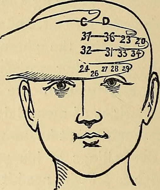 An illustration from A new illustrated hand-book of phrenology, physiology and physiognomy, 1878, leaf 87