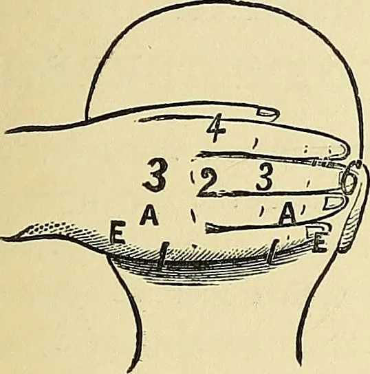 An illustration from A new illustrated hand-book of phrenology, physiology and physiognomy, 1878, leaf 88