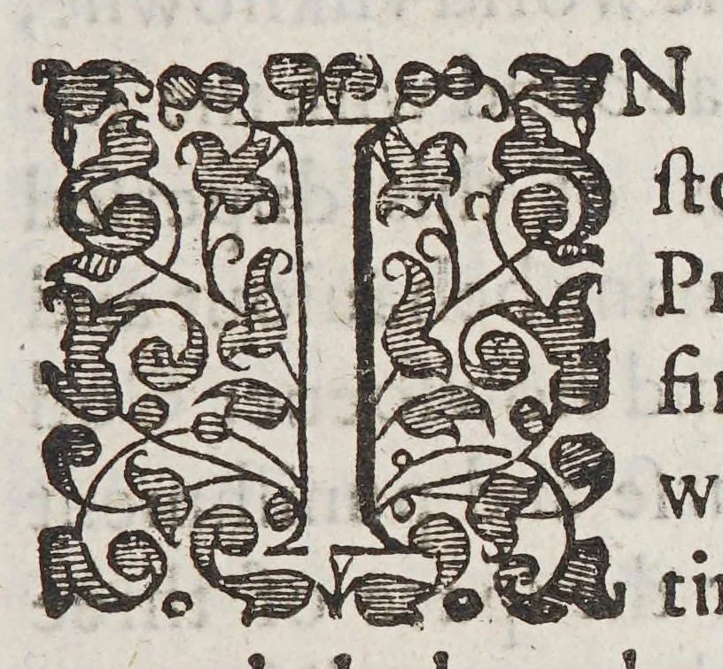 An illustration from The new life of Virginea: : declaring the former successe and present estate of that plantation, being the second part of Noua Britannia., 1612, leaf 13
