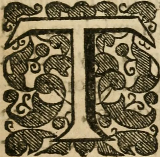 An illustration from A new light of alchymie : taken out of the fountaine of nature, and manuall experience : to which is added a treatise of svlphvr, 1650, leaf 16