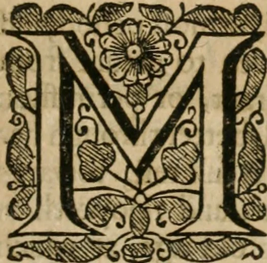 An illustration from A new light of alchymie : taken out of the fountaine of nature, and manuall experience : to which is added a treatise of svlphvr, 1650, leaf 30