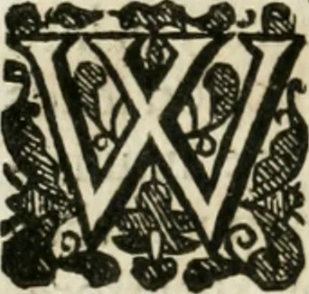 An illustration from A new light of alchymie : taken out of the fountaine of nature, and manuall experience : to which is added a treatise of svlphvr, 1650, leaf 55