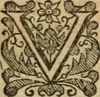 An illustration from A new light of alchymie : taken out of the fountaine of nature, and manuall experience : to which is added a treatise of svlphvr, 1650, leaf 88