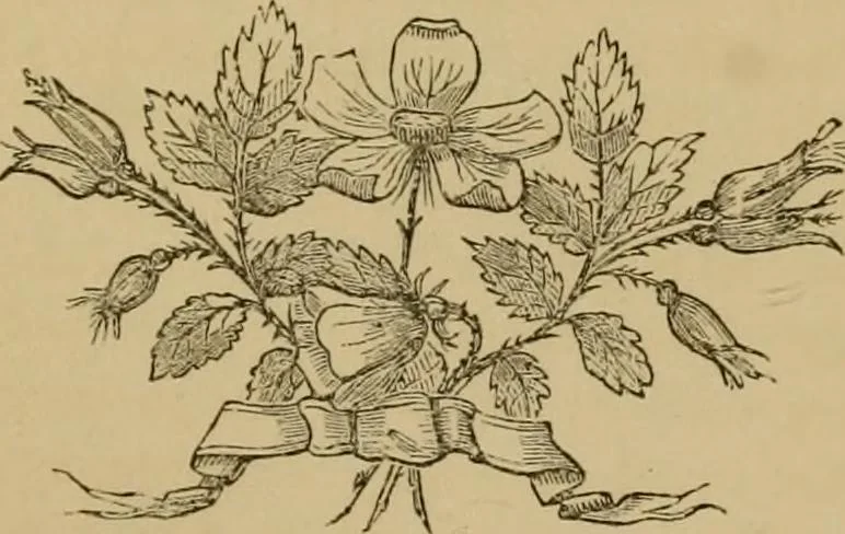 An illustration from Newman's manual of harmonious coloring, as applied to photographs : together with valuable papers on lighting and posing the sitter, 1866, leaf 106