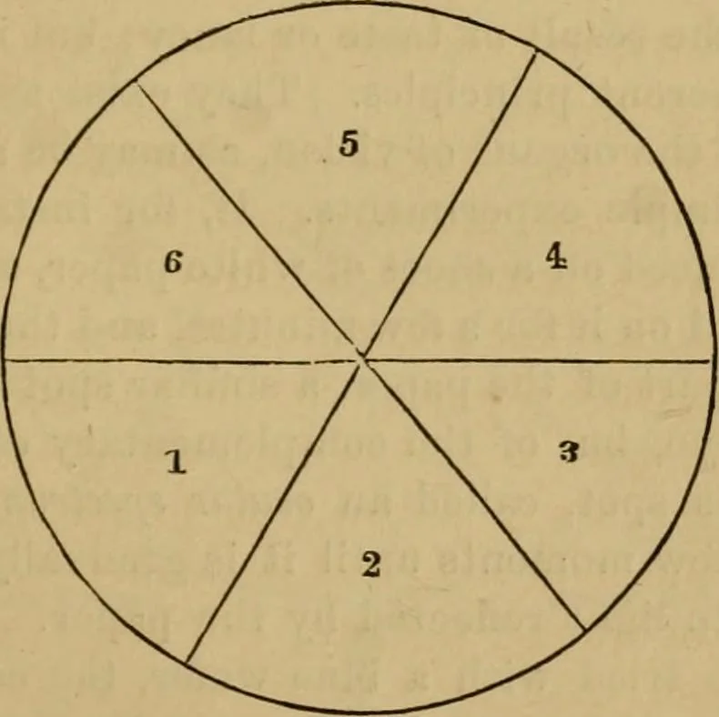 An illustration from Newman's manual of harmonious coloring, as applied to photographs : together with valuable papers on lighting and posing the sitter, 1866, leaf 28
