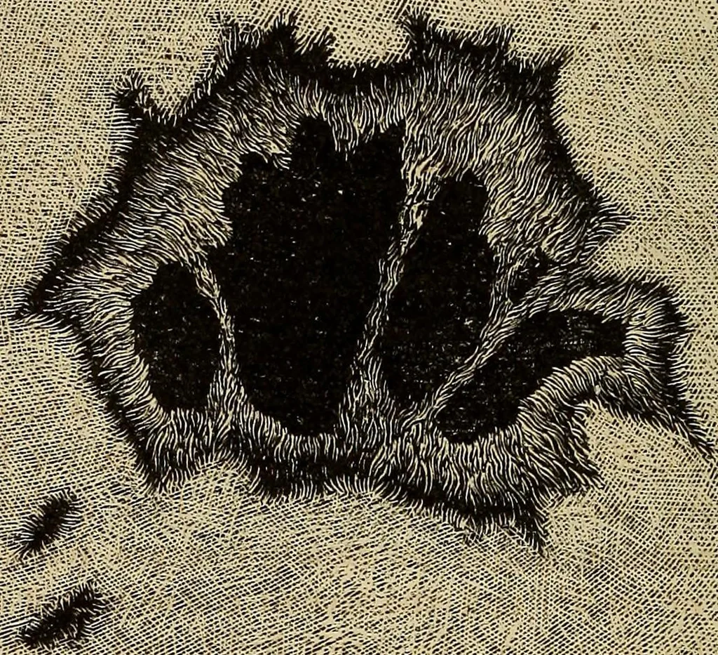 An illustration from A new manual of the elements of astronomy, descriptive and mathematical .., 1868, leaf 111