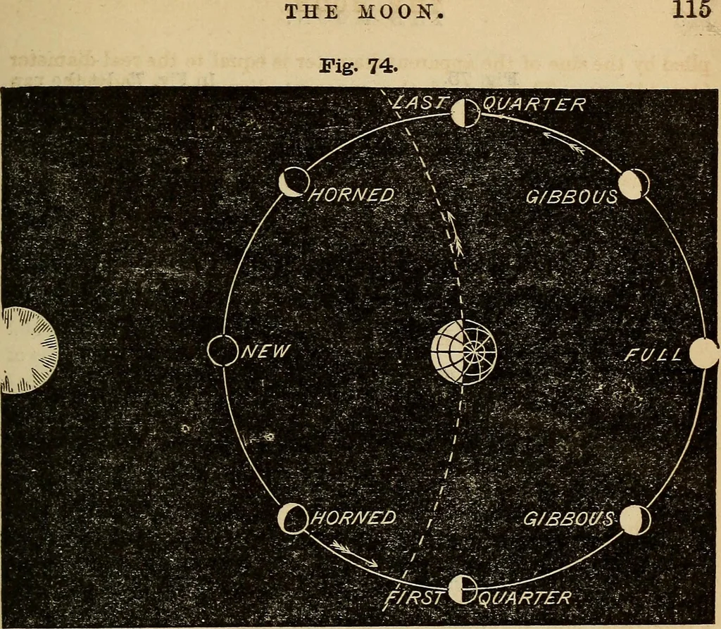 An illustration from A new manual of the elements of astronomy, descriptive and mathematical .., 1868, leaf 120