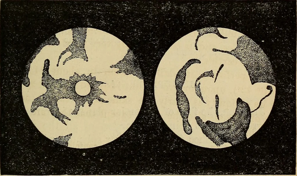 An illustration from A new manual of the elements of astronomy, descriptive and mathematical .., 1868, leaf 178