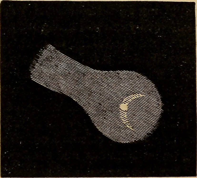An illustration from A new manual of the elements of astronomy, descriptive and mathematical .., 1868, leaf 222