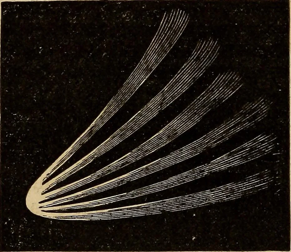 An illustration from A new manual of the elements of astronomy, descriptive and mathematical .., 1868, leaf 225