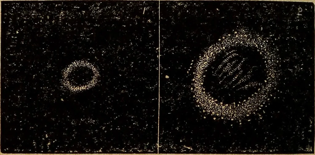 An illustration from A new manual of the elements of astronomy, descriptive and mathematical .., 1868, leaf 271