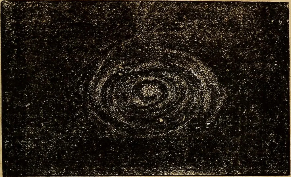 An illustration from A new manual of the elements of astronomy, descriptive and mathematical .., 1868, leaf 272