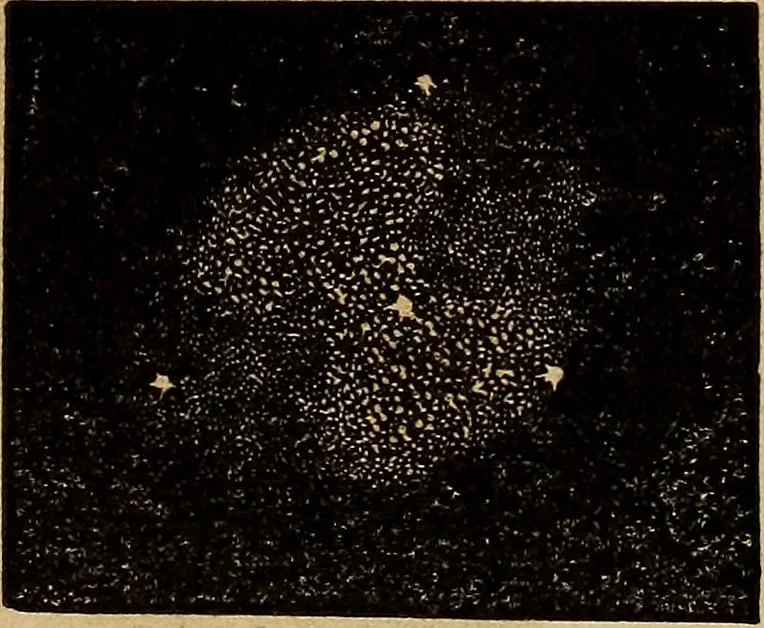 An illustration from A new manual of the elements of astronomy, descriptive and mathematical .., 1868, leaf 276