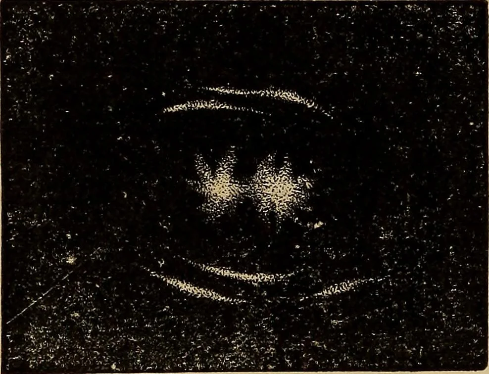 An illustration from A new manual of the elements of astronomy, descriptive and mathematical .., 1868, leaf 277