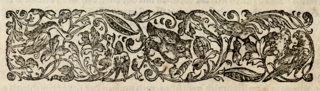 An illustration from New Müntz Buech : darinnen allerley gross vunnd kleine, silberne vnd guldene Sorten, vmb wichtiger Vrsach willen also fürgestelt werden, vnd erstlich der Römischen Kayserlichen vnd Königlichen Mayestat ... : darneben auch bäpstlicher Heiligkeit vnd der König in Hispanien, Portugal ... : dann auch der Italianischen Fürsten .., 1604, leaf 20
