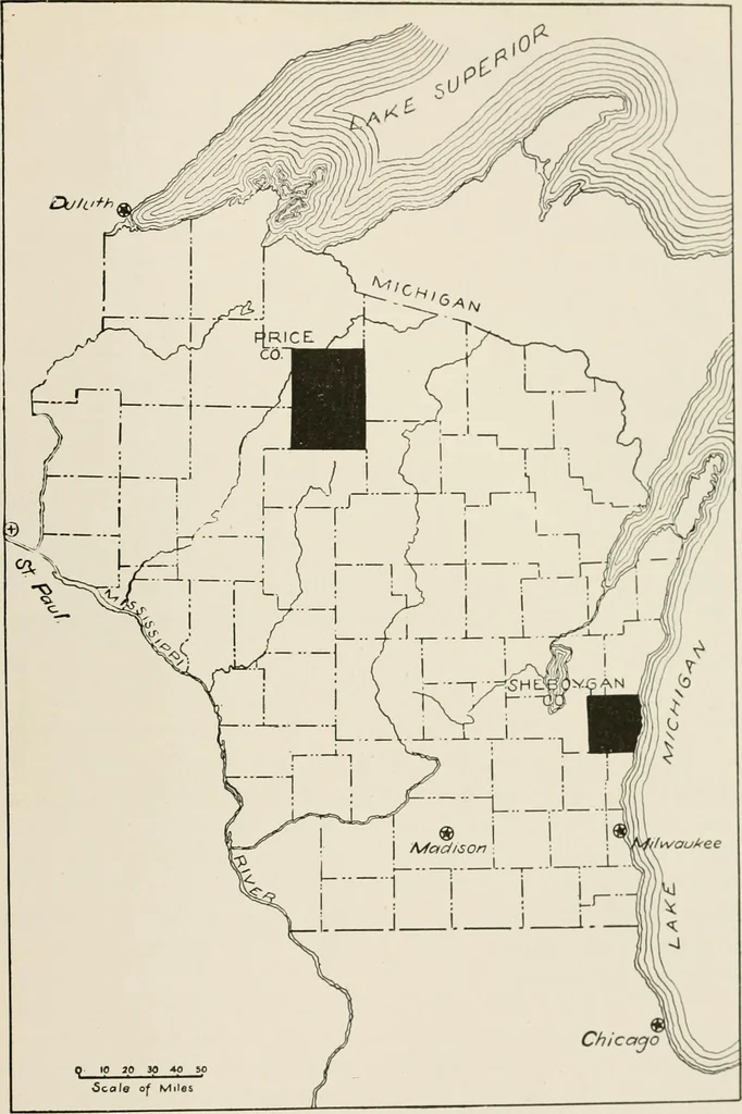 An illustration from The new and old immigrant on the land; a study of Americanization and the rural church, 1922, leaf 24